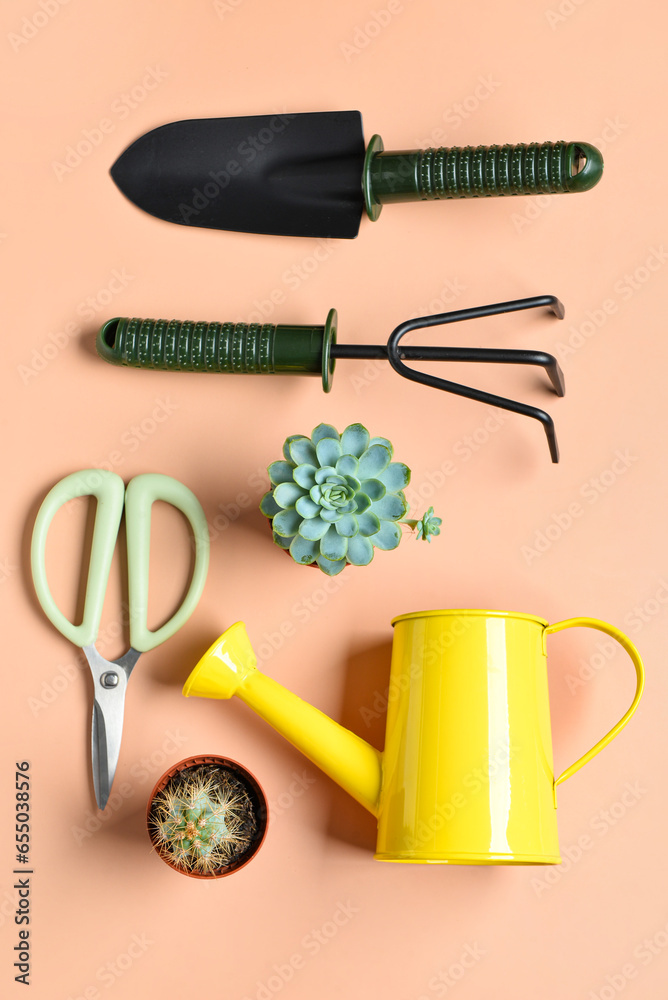 Set of gardening tools on beige background