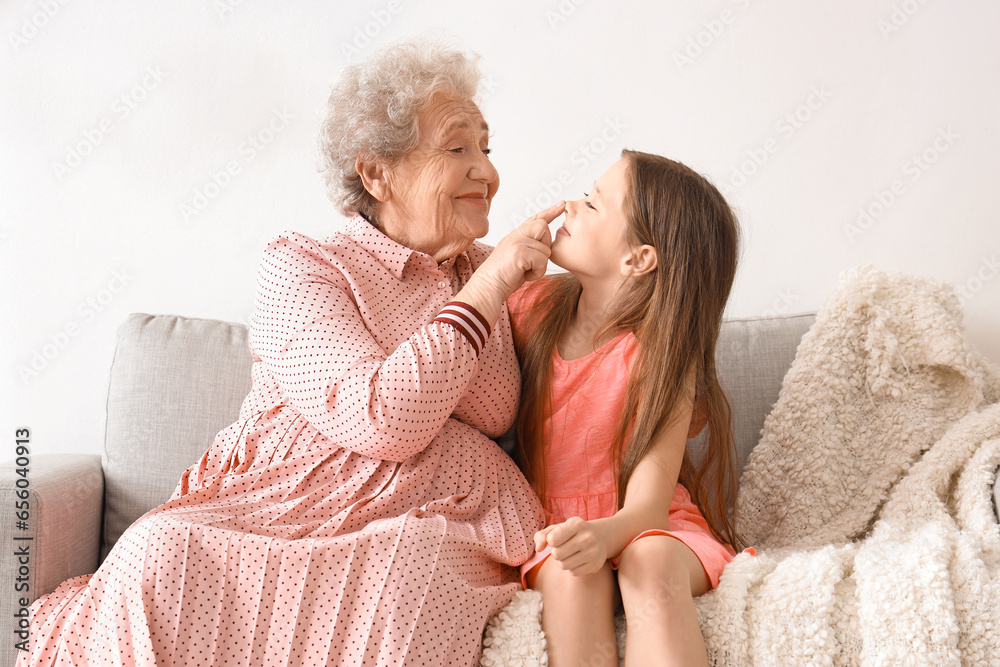 Senior woman touching her little granddaughters nose at home