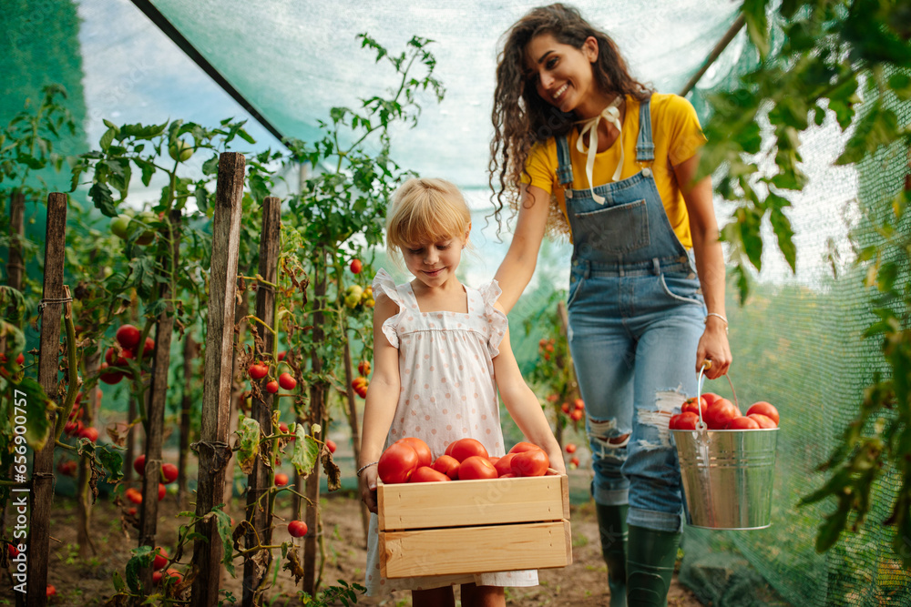 Mom and her kid walking with harvested tomatoes in the garden