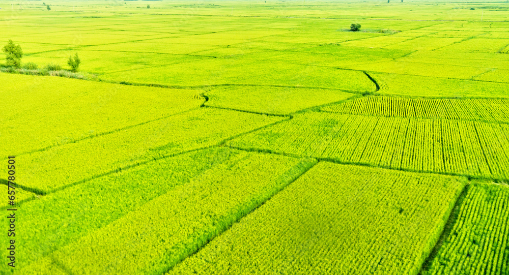 High angle view of farmland in China