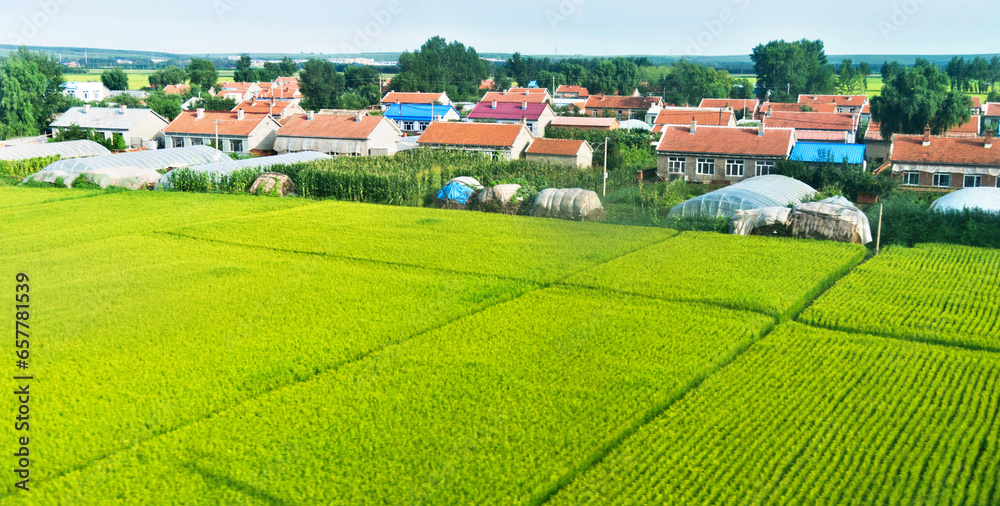 Landscape farms in villages of China