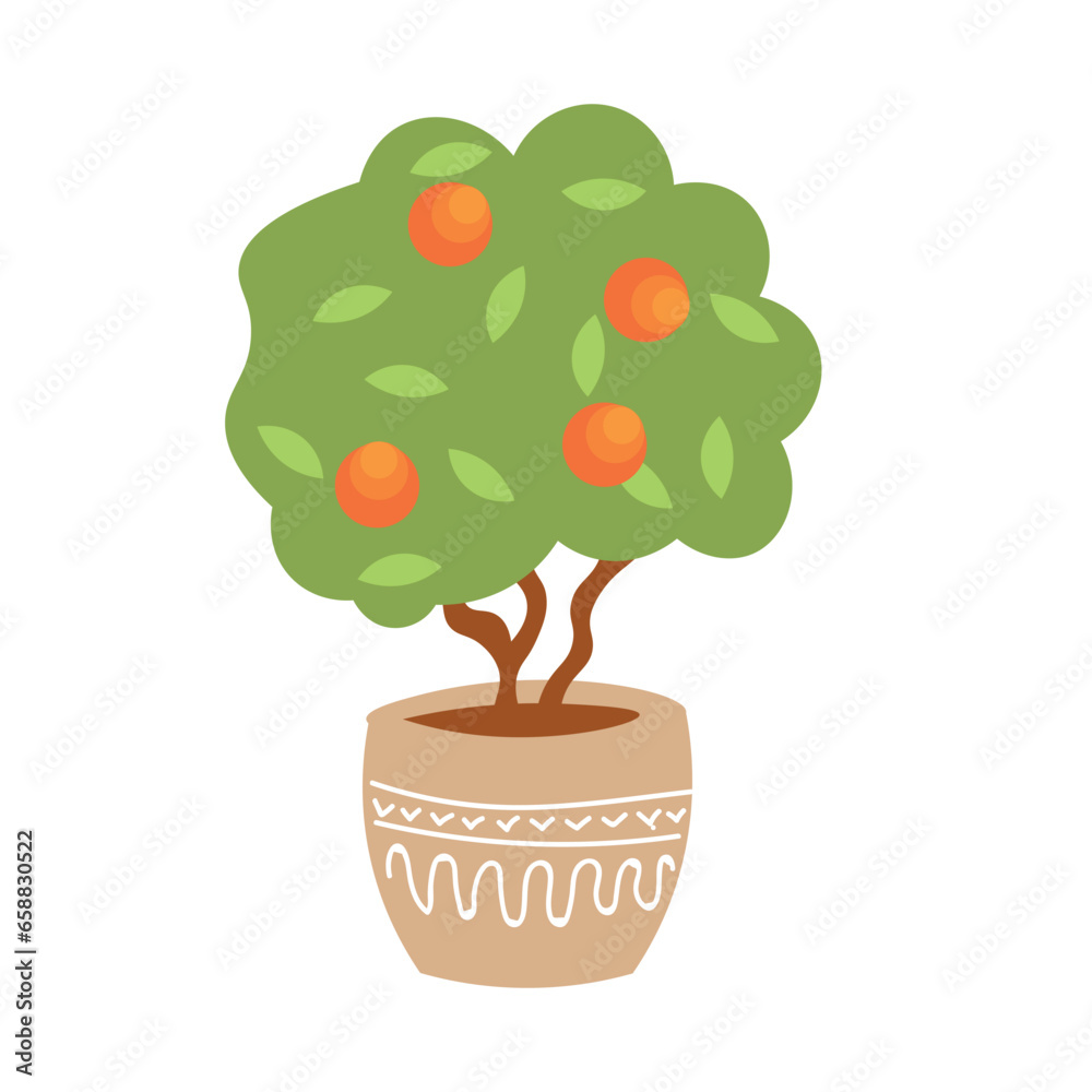 Green tangerine tree in pot on white background