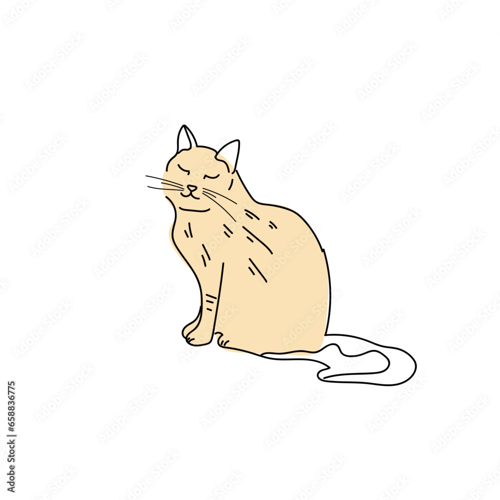 Cute cat on white background