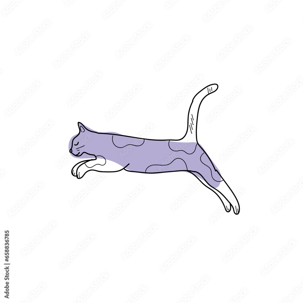 Cute jumping cat on white background