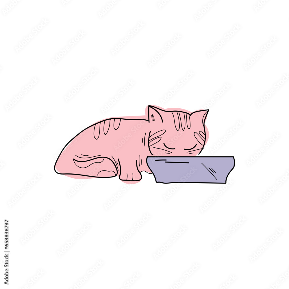 Cute cat eating food from bowl on white background