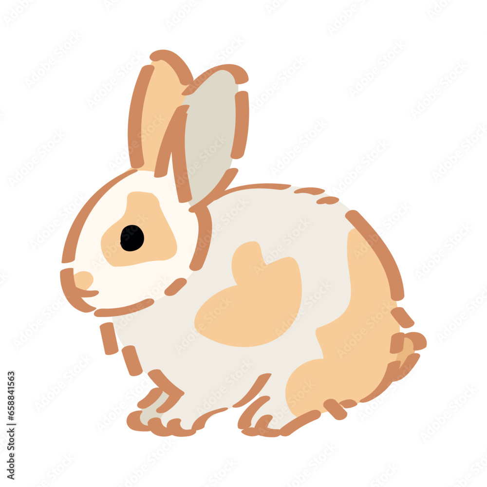 Cute fluffy rabbit on white background