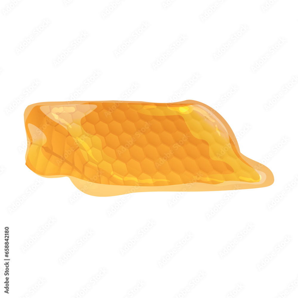 Sweet honey comb on white background