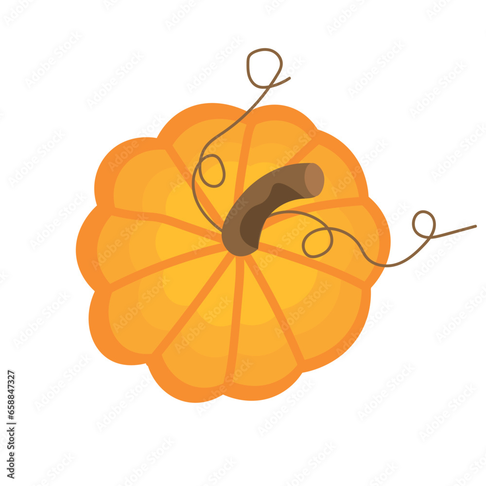 Fresh pumpkin on white background, top view