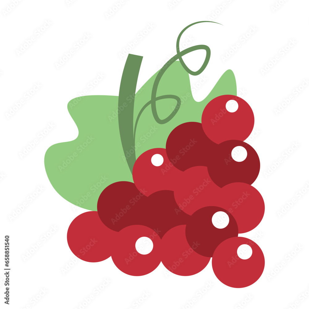 Red grapes on white background