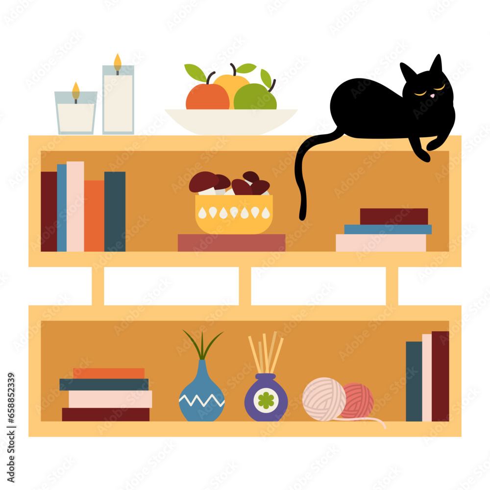 Shelving unit with books, decor and cat on white background