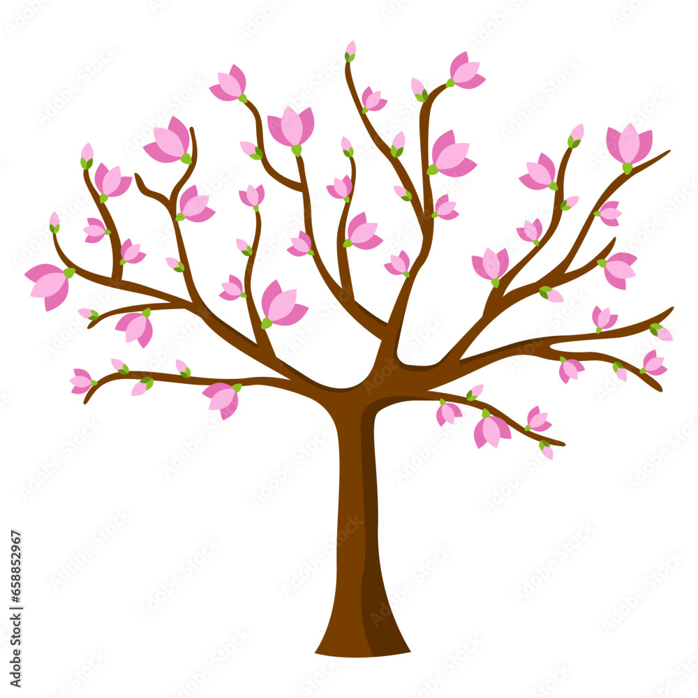 Blooming tree on white background