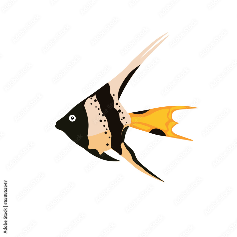 Beautiful fish on white background