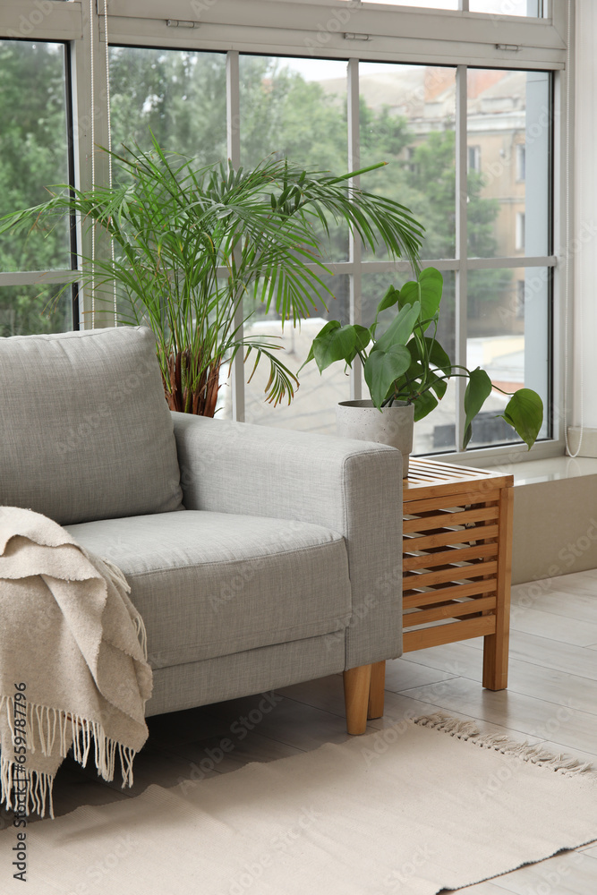 Stylish grey sofa, table and houseplants near window in living room