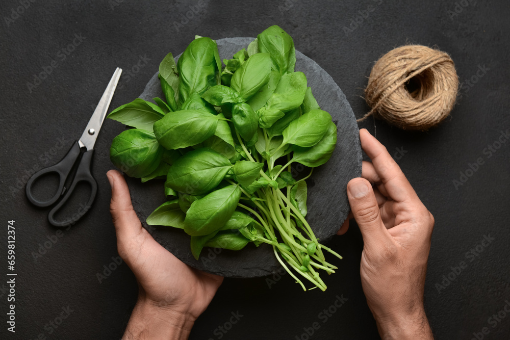 Male hands with board of fresh green basil, string and scissors on black background