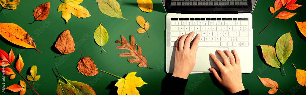 Autumn leaves with person using a laptop computer from above