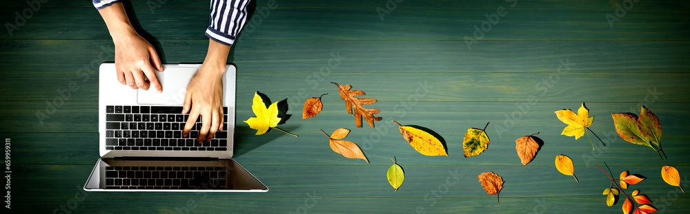 Autumn leaves with person using a laptop computer from above