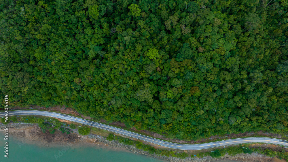 Idyllic winding road through the green pine forest. Aerial view of beautiful natural Road and green field in the wild forest mountain near Lake.