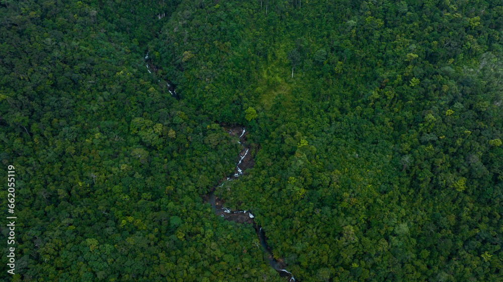 Aerial view of beautiful mountain natural green field of forest in the wild forest mountain ,Clean Air natural fresh Air concept