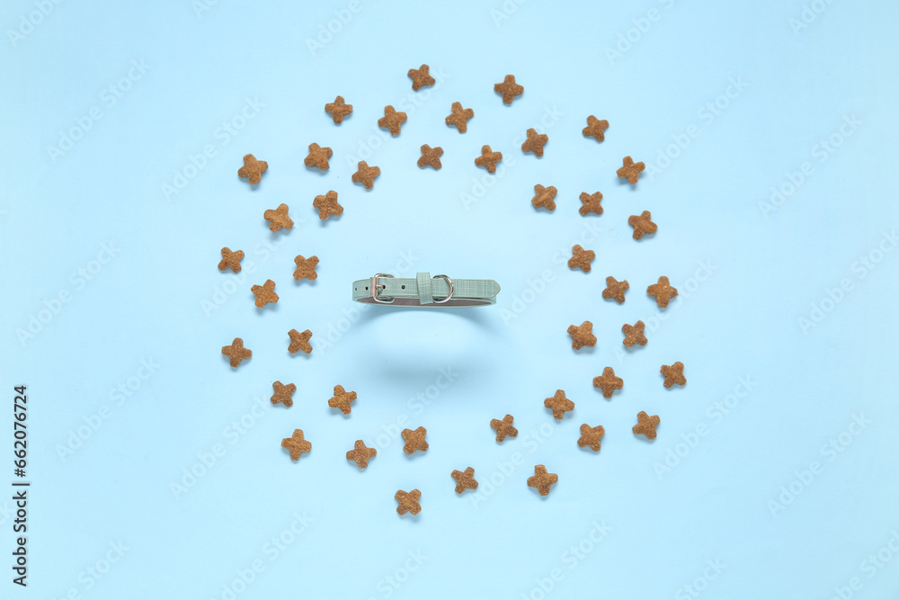 Composition with pet collar and dry food on color background