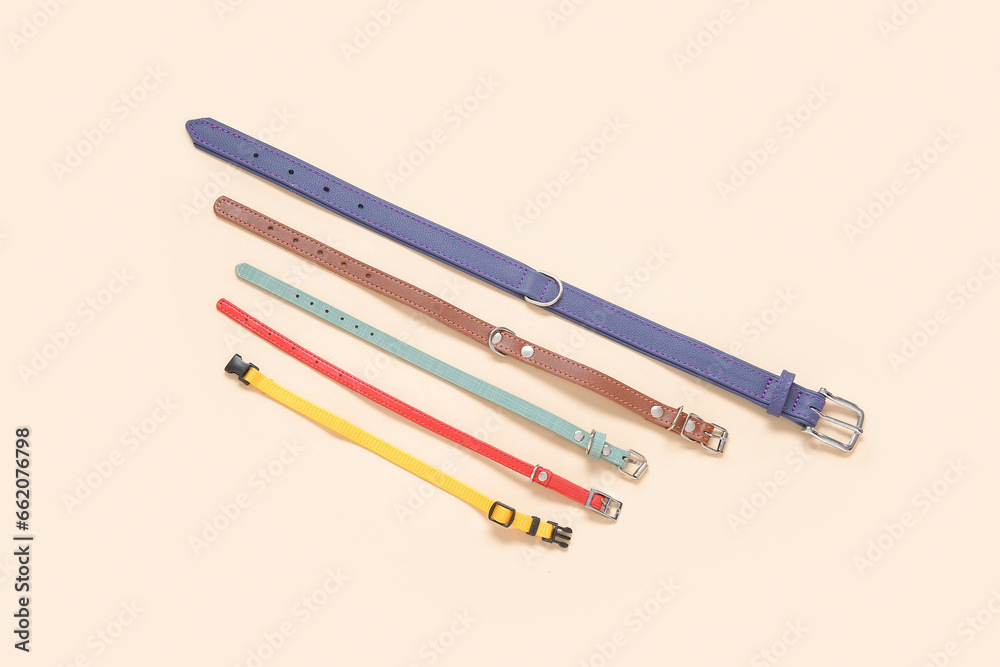 Set of different pet collars on color background