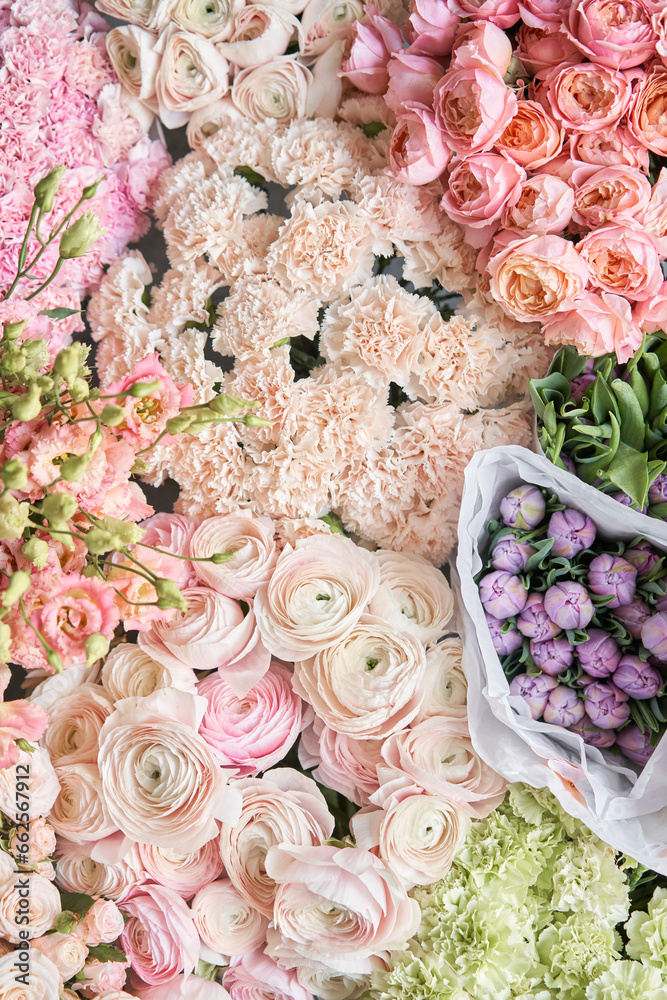 Many different colors. Showcase. Background of mix of flowers. Beautiful flowers for catalog or online store. Floral shop and delivery concept. Top view