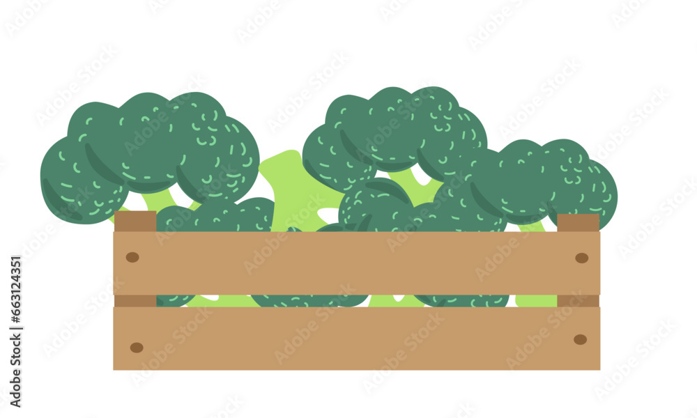 Vector illustration box with broccoli isolate on white , harvesting autumn vitamins, season vegetable ,healthy and tasty food, bio and eco. Illustration for different design uses .