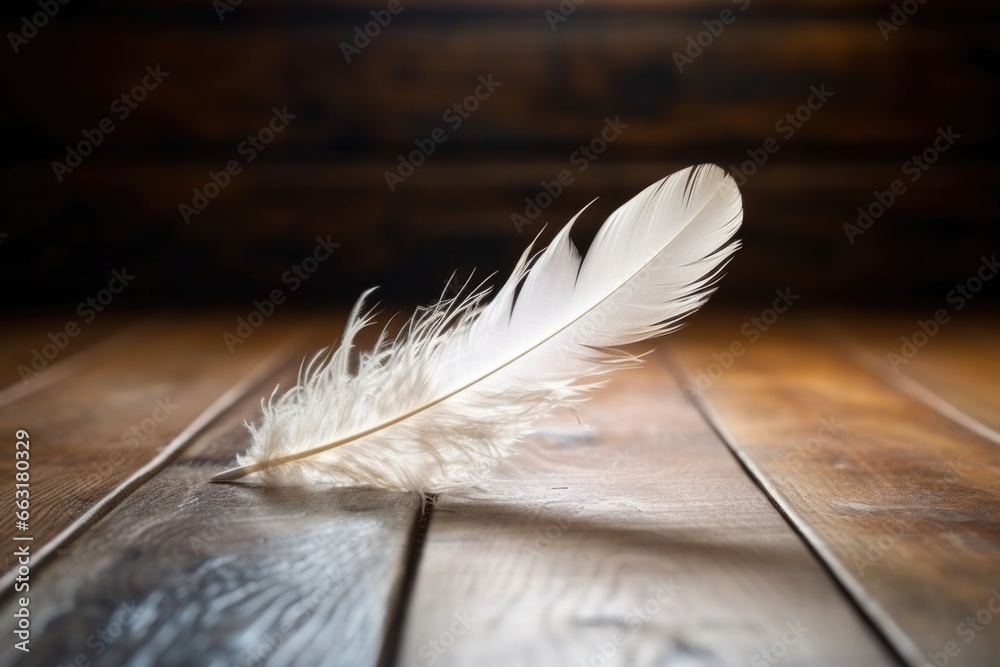 white feather softly landing on a wooden table