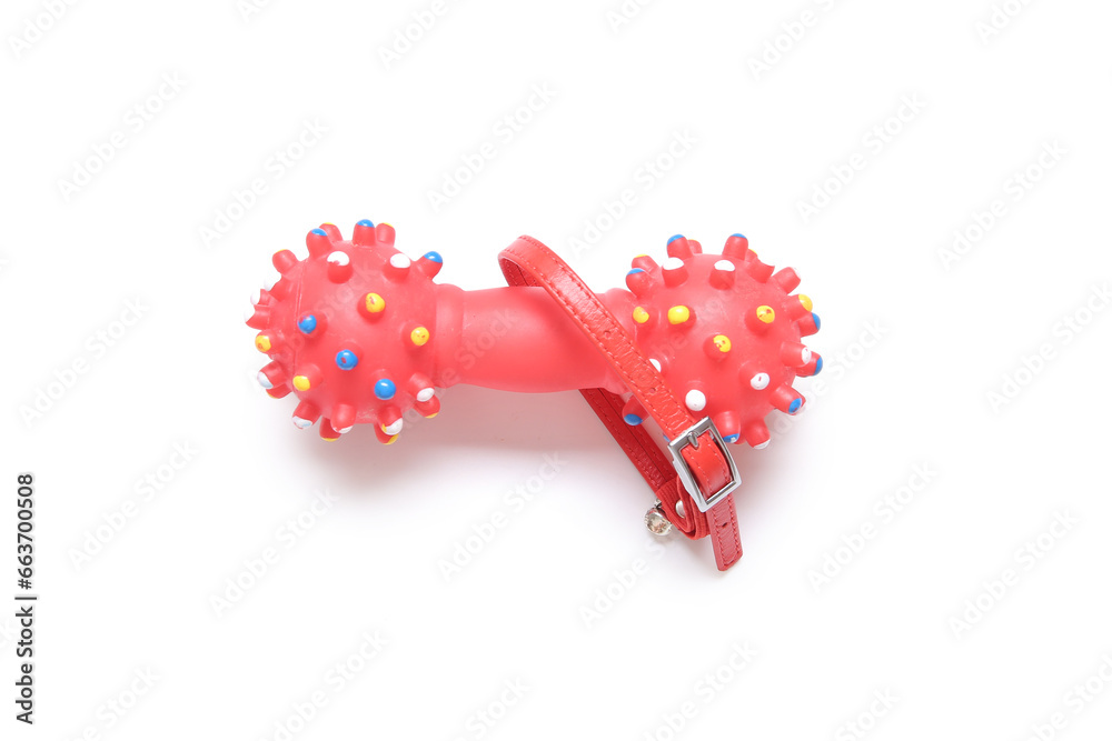 Pet collar and rubber toy on white background