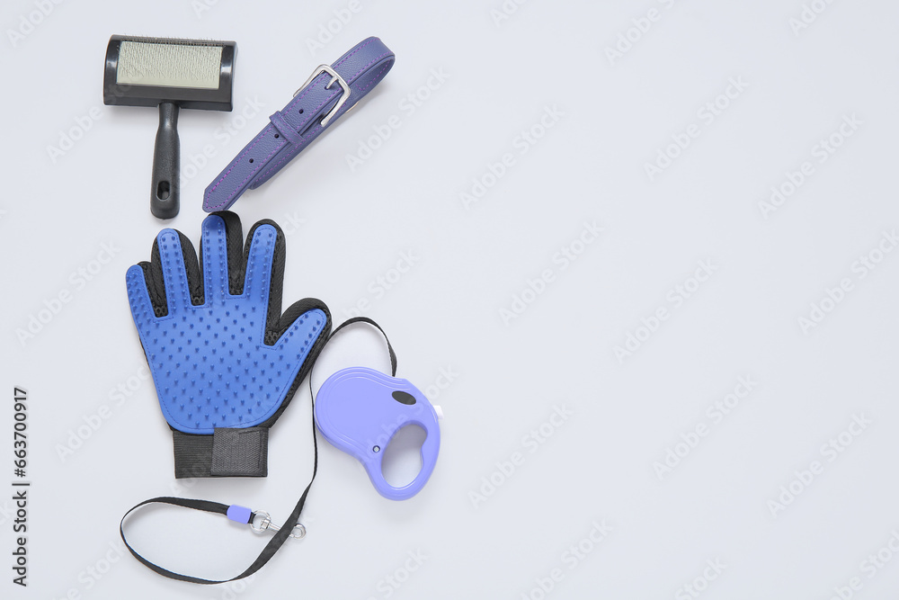 Set of pet care accessories with collar on light background