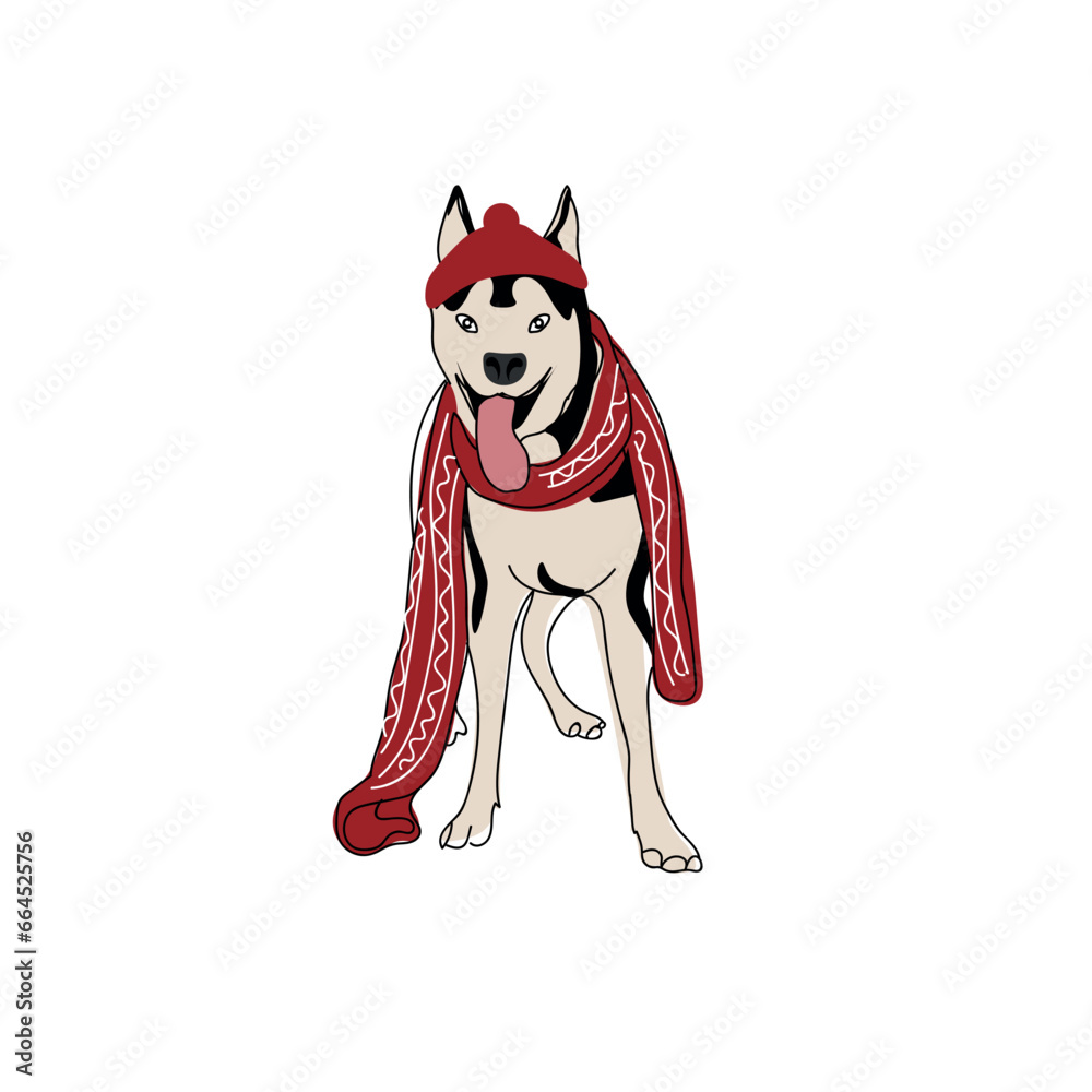 Cute Husky dog in hat and scarf on white background