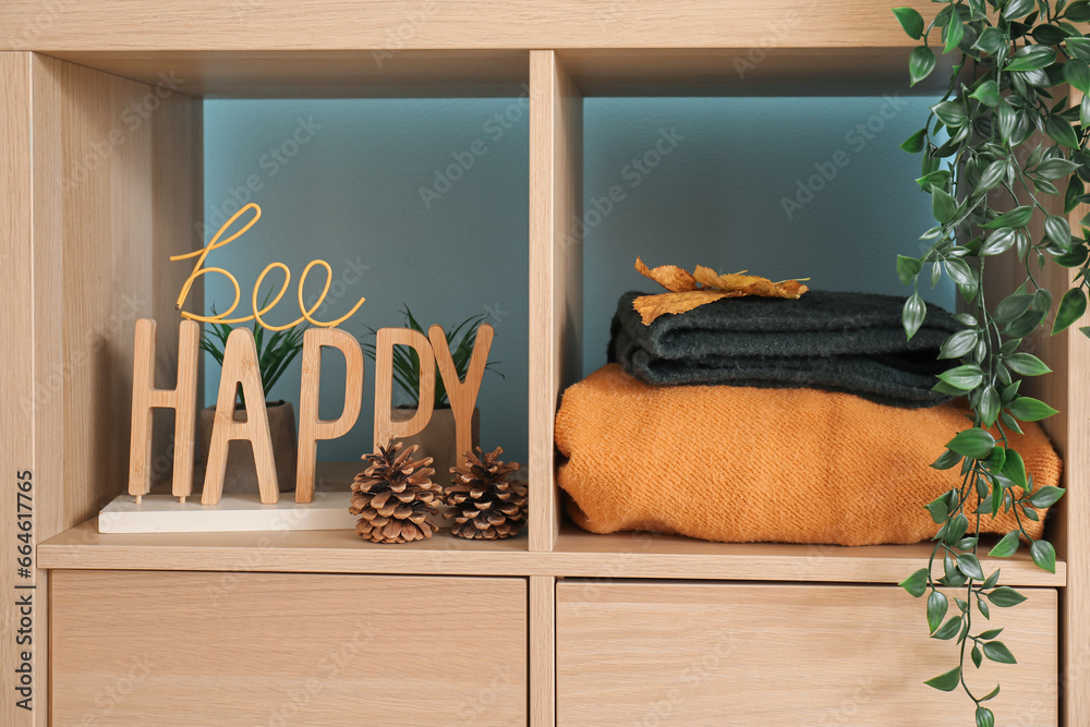 Warm clothes and beautiful decor on wooden shelving unit, closeup