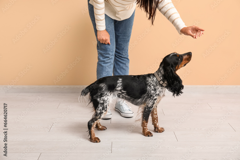 Dog handler training pet on beige background