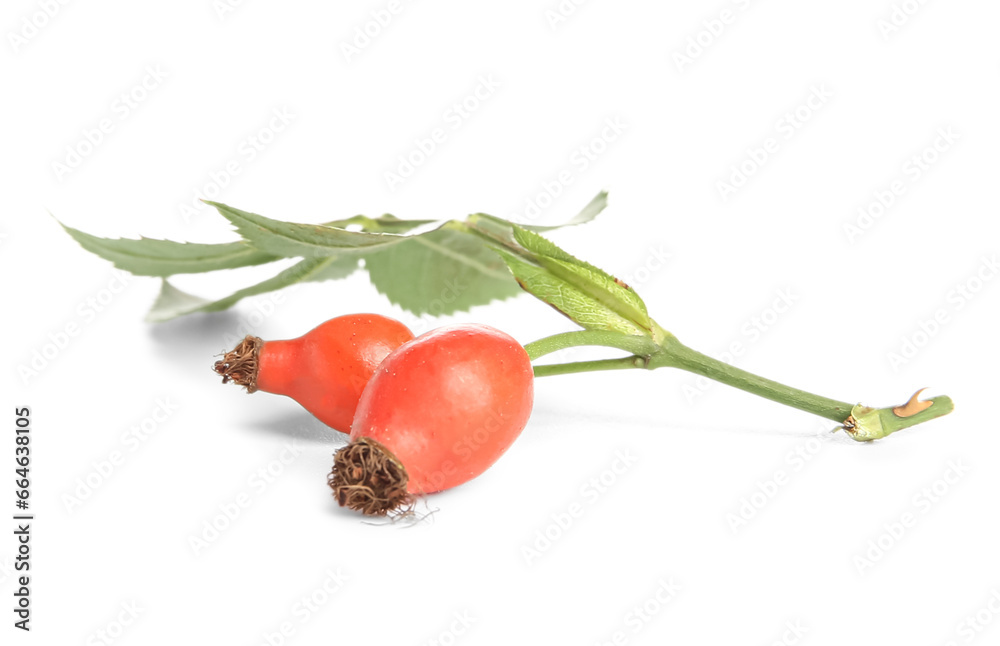 Fresh rose hip berries with leaves on white background