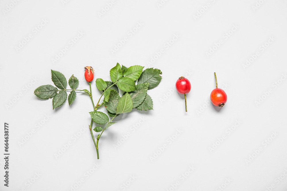 Fresh rose hip berries and leaves on white background