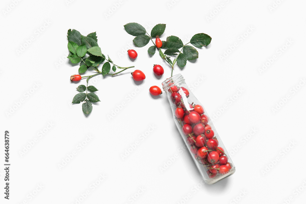 Bottle with fresh rose hip berries and leaves on white background