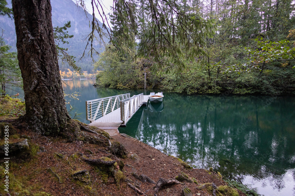 dock in the forest