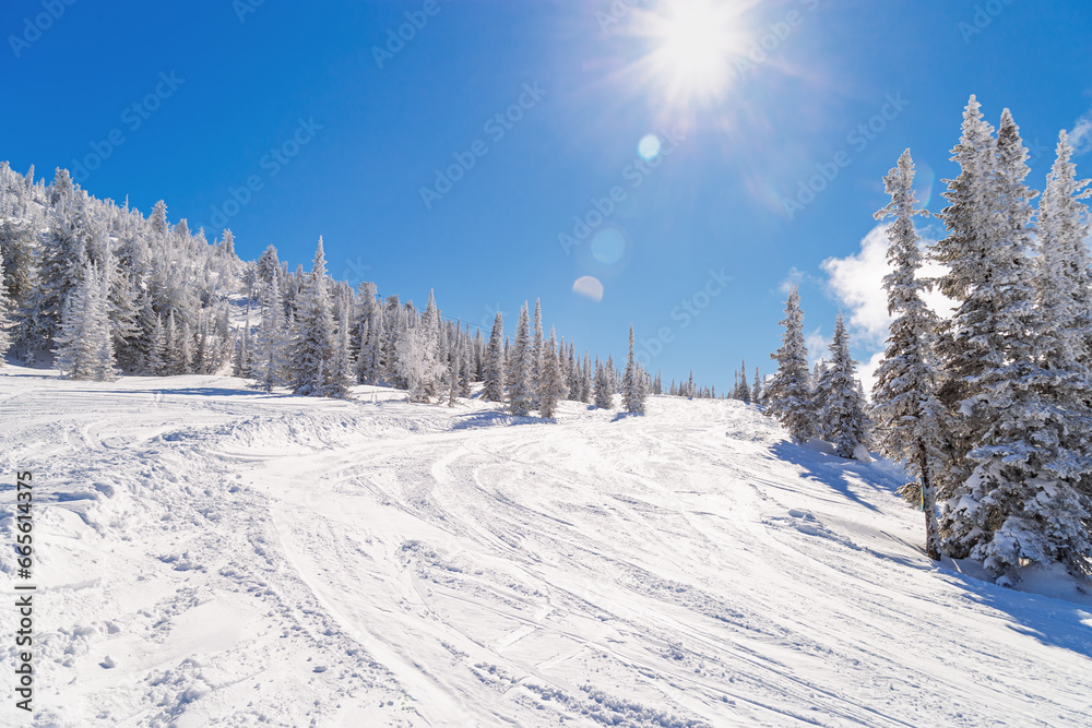 Ski slope on mount Green, freeride, Sheregesh ski resort, winter landscape with bright sun, amazing sunny winter day for sport, for leisure. Snow trails, blue sky, sunlight, fir tree forest