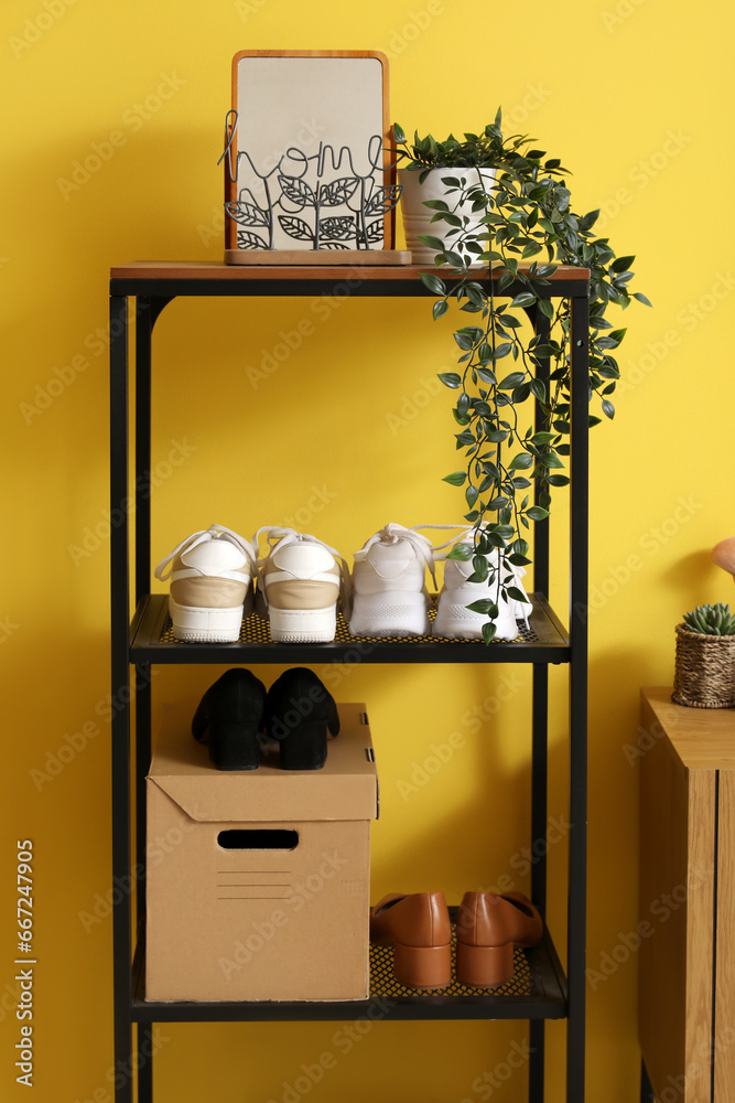 Shoe stand with houseplant, mirror and box in hallway