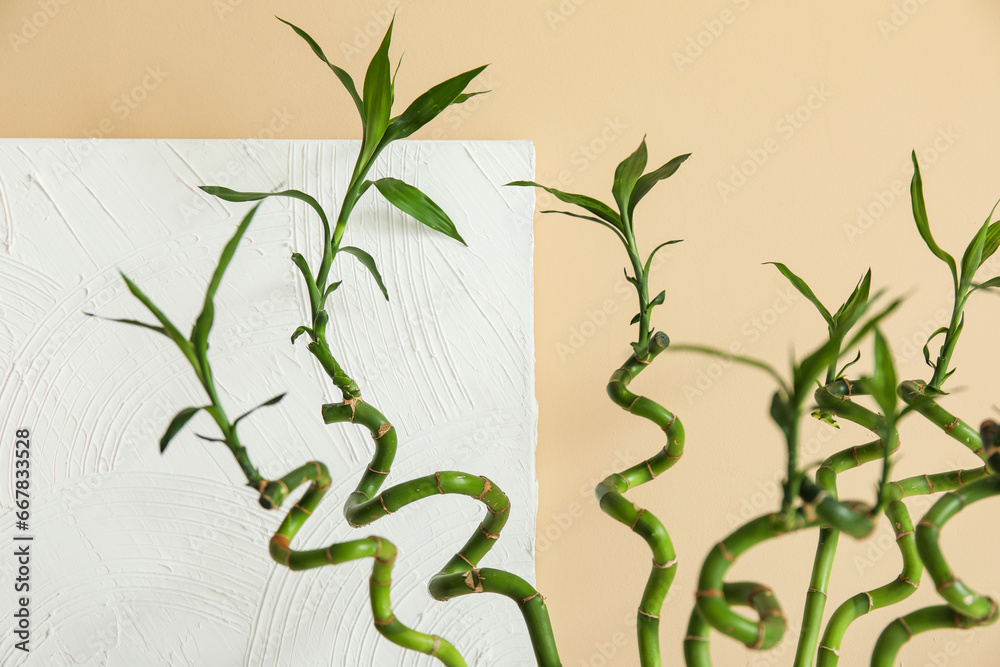 Green bamboo stems against color wall, closeup