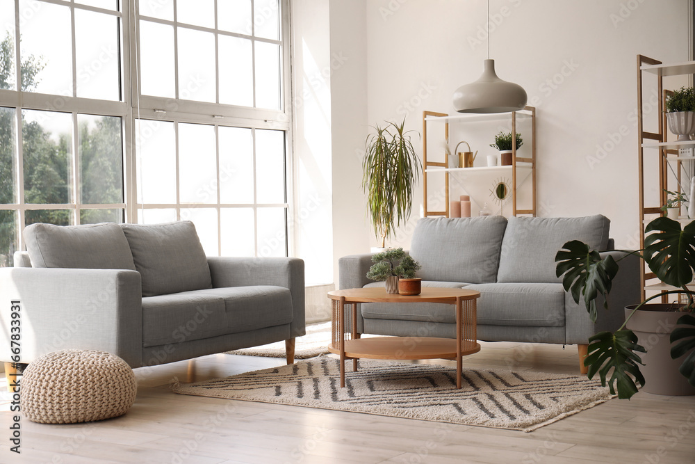 Interior of light living room with grey sofas, coffee table, houseplants and big window