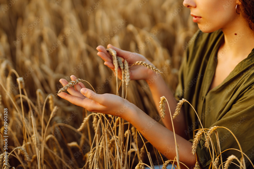 Beautiful woman farmer checks the quality of wheat. She touches the ears of wheat to assure that the crop is in good condition. Agriculture, gardening or ecology concept.