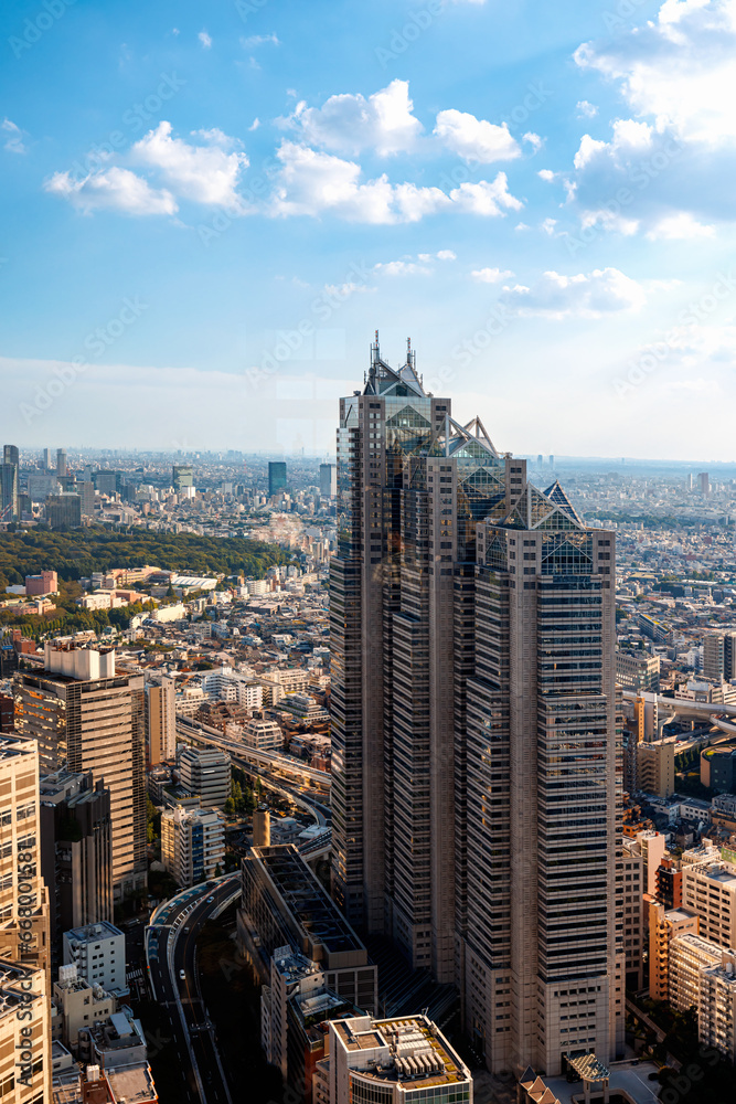 Skyscrapers towering above the cityscape of Nishi-Shinjuku, Tokyo, Japan