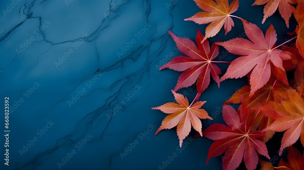 Autumn background with colored red leaves on dark blue  background with copy space for text