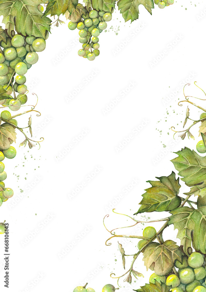 Watercolor frame or background with bunches green grapes