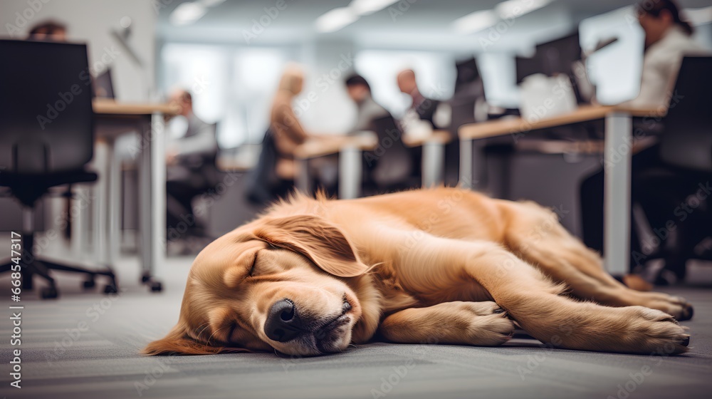 Dog peacefully sleeping in busy office environment. Pet is comfortably layed on floor with daily workspace rush in background. Busy business employees, computers, and office supplies in background