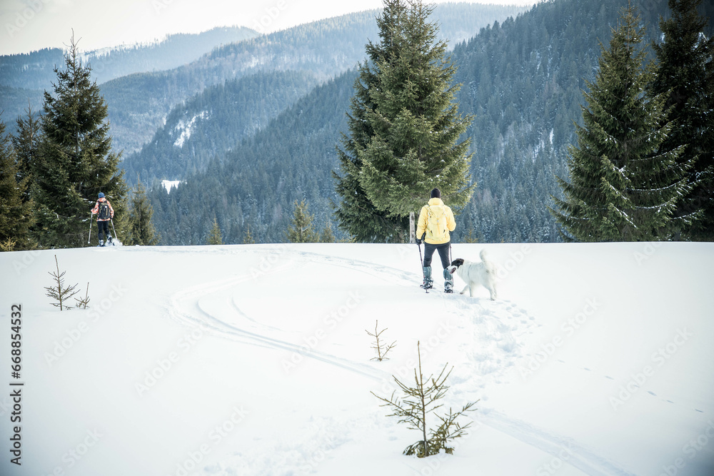 man and dog trekking in big snow in mountains in winter