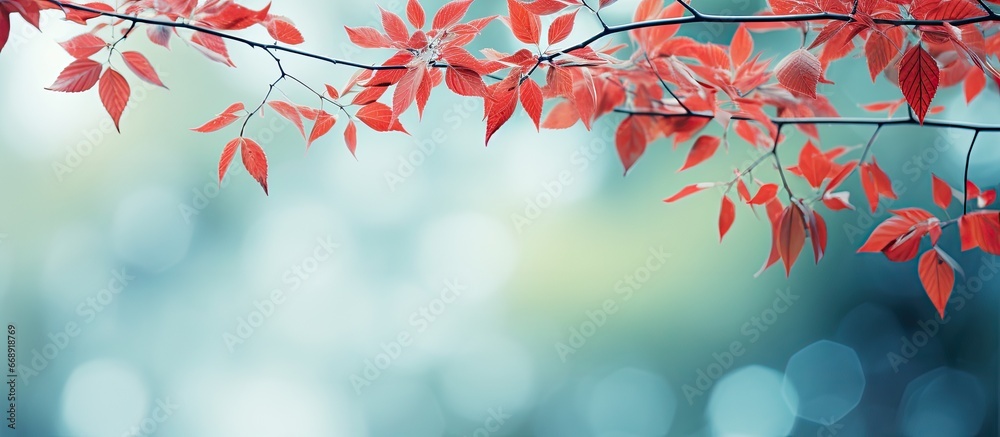 Abstract background with red and green blurred leaves and bokeh