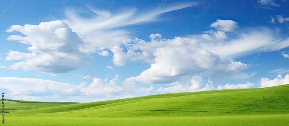 Grassy meadow under blue sky and fluffy clouds