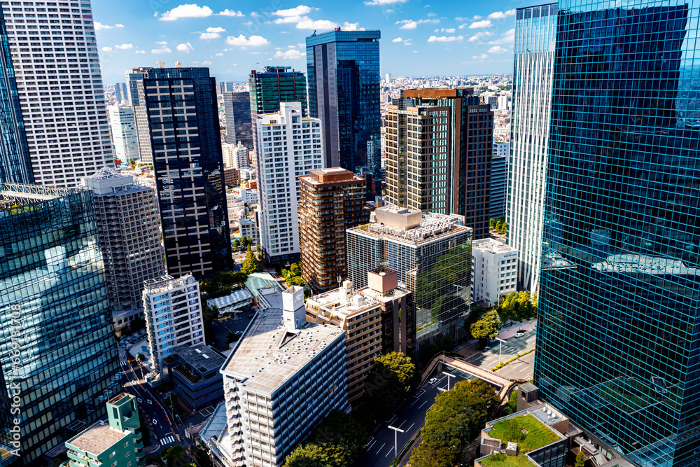 Skyscrapers towering above the cityscape of Nishi-Shinjuku, Tokyo, Japan