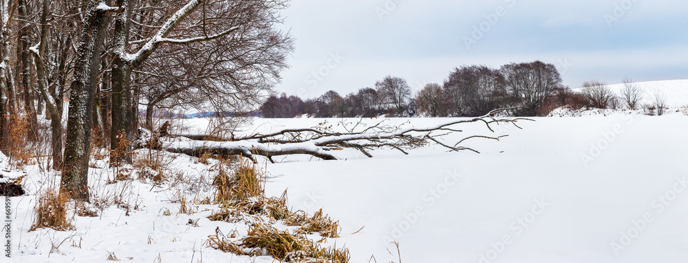 Winter landscape with snow-covered trees on the river bank in clear weather